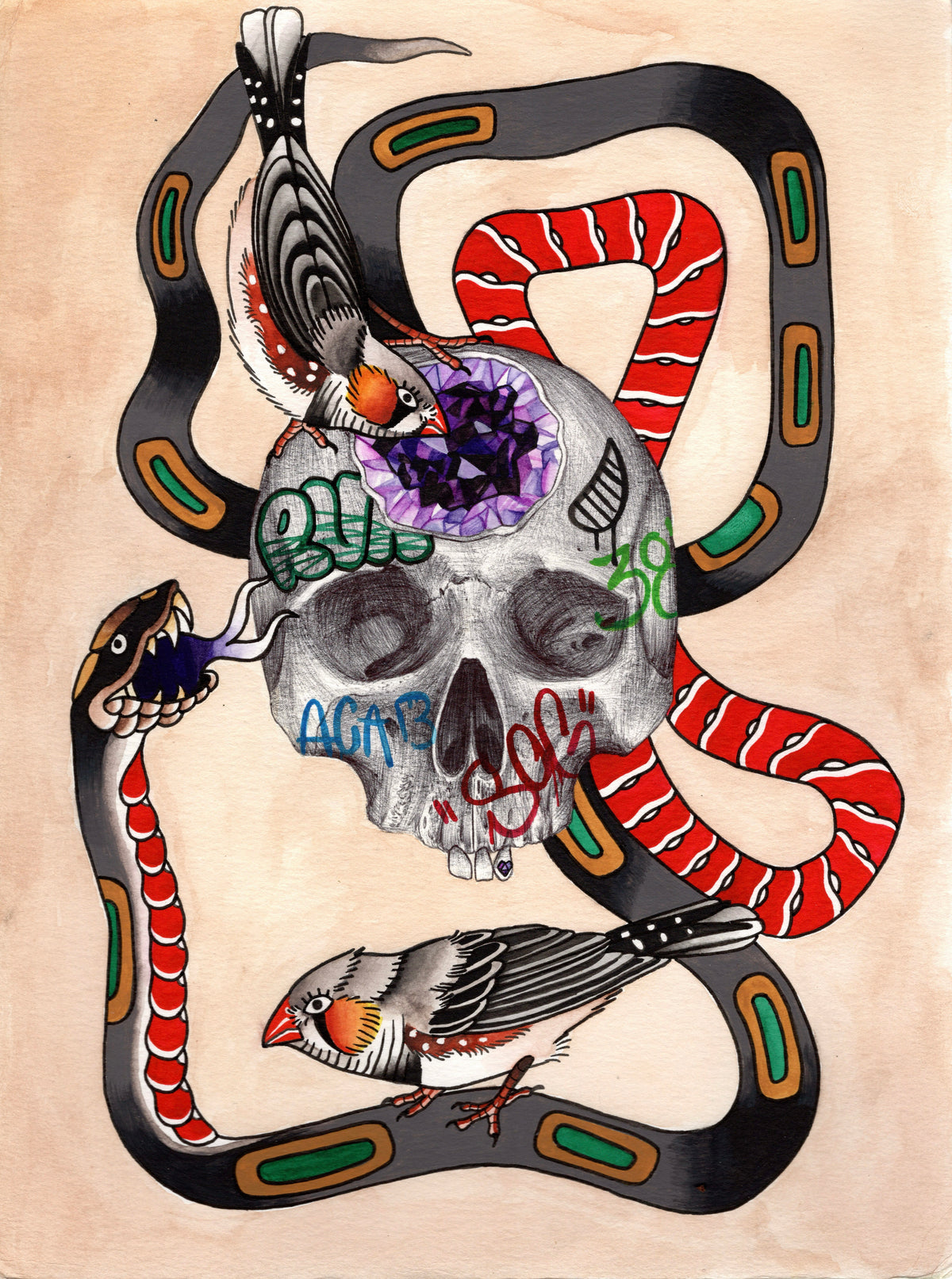 Skull, snake & finches